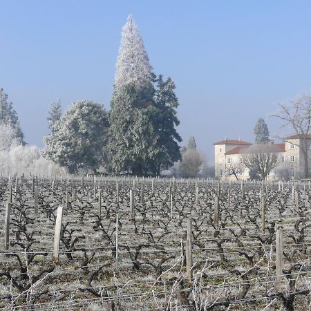 Chateau De Grandmont Chambres D'Hotes Blace Экстерьер фото